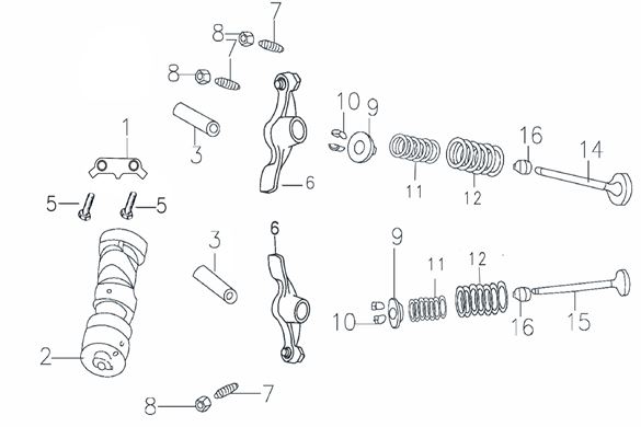 Resorte Válvula Kit Pitsterpro / Kayo 150 – 160 cc