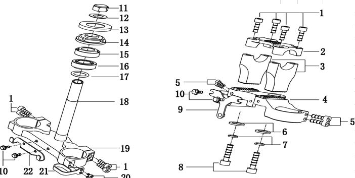 Estersio Inferior Pitsterpro LXR155