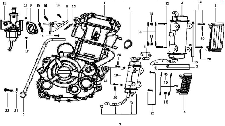 Manguera Radiador Pitsterpro XTR250 LC 2009-11 a Motor