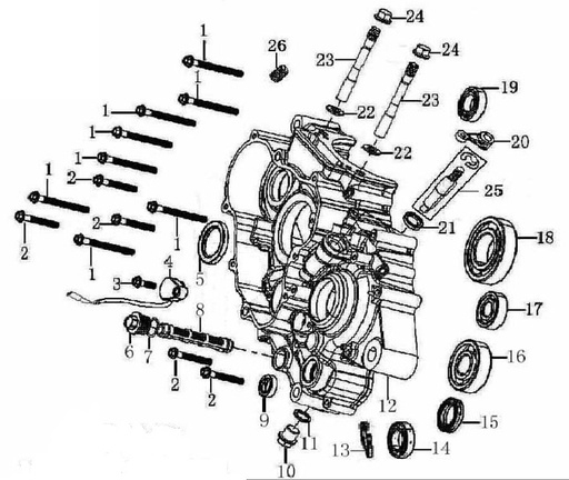 [BB02096-B1/38] Rol Eje Salida Pitsterpro LXT 400 / Formula XY 400