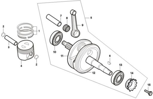 [DC00374-B1/C1] Selector Cambios Pitsterpro XTR250 LC 2009-11
